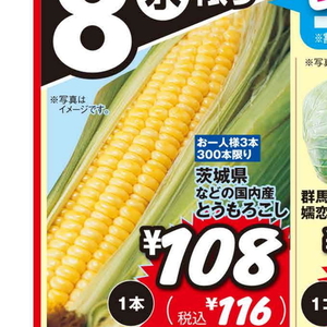 とうもろこし