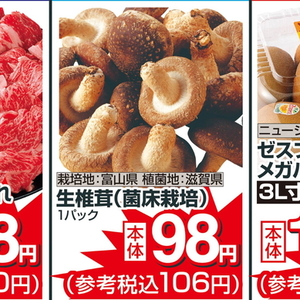 しいたけ