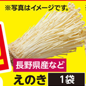 えのき茸