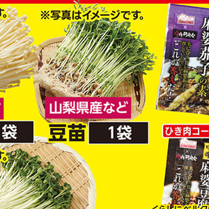 豆苗