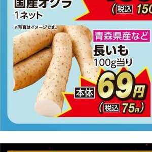 ながいも