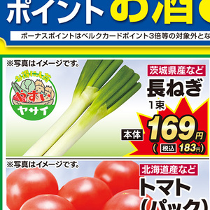 ながねぎ