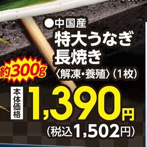 うなぎの蒲焼き