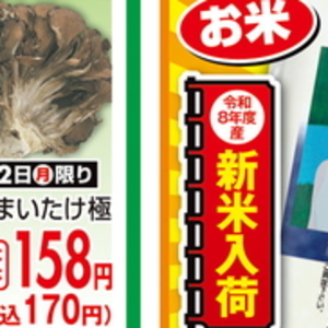 まいたけ
