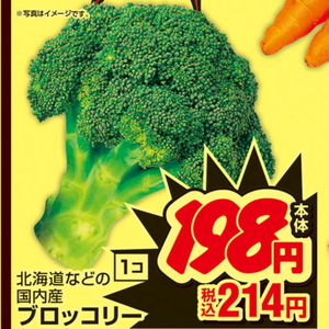ブロッコリー