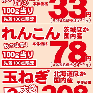 レンコン