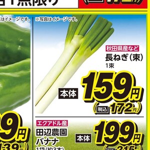 ながねぎ