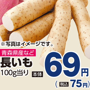 ながいも