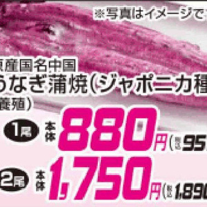 うなぎの蒲焼き