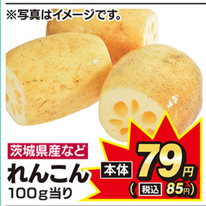 レンコン