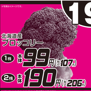 ブロッコリー