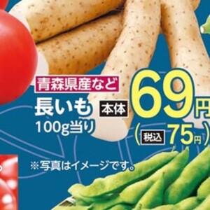 ながいも