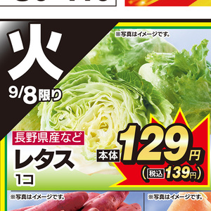 レタス