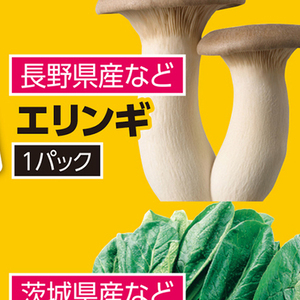 エリンギ