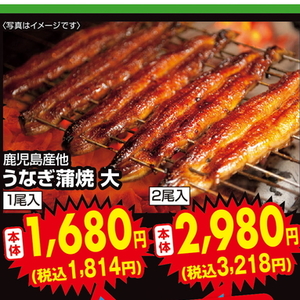 うなぎの蒲焼き