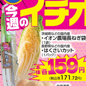 ながねぎ