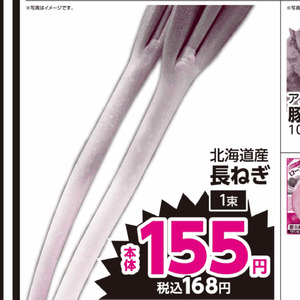 ながねぎ