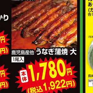 うなぎの蒲焼き