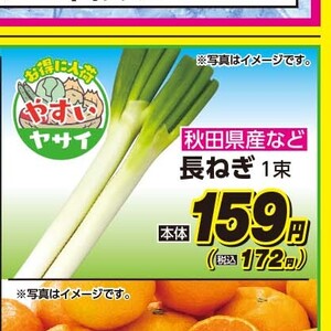 ながねぎ