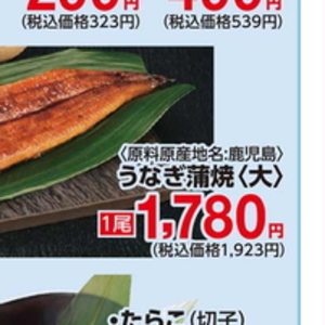 うなぎの蒲焼き