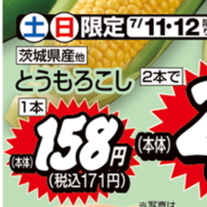 とうもろこし