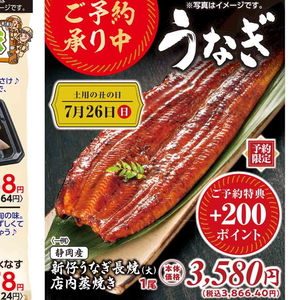 うなぎの蒲焼き
