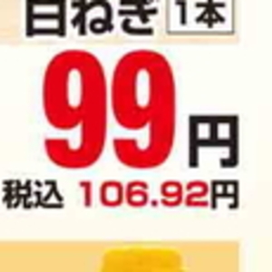 ながねぎ