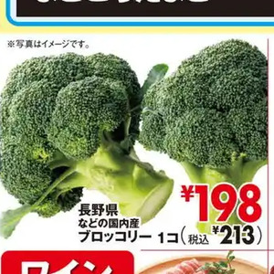 ブロッコリー