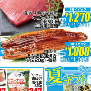 うなぎの蒲焼き