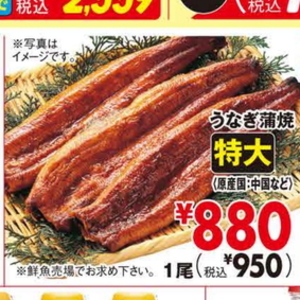うなぎの蒲焼き
