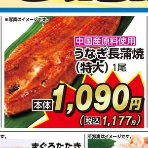 うなぎの蒲焼き