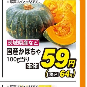 かぼちゃ