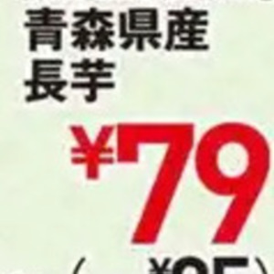 ながいも