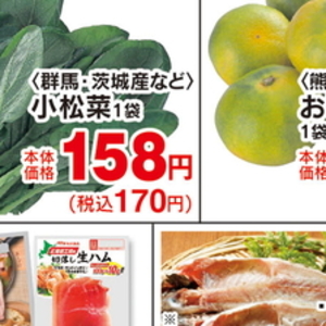 こまつ菜