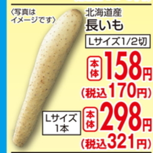 ながいも