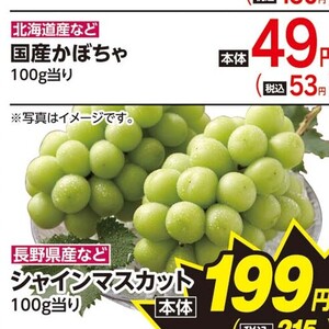 かぼちゃ