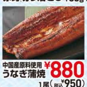 うなぎの蒲焼き