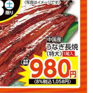 うなぎの蒲焼き