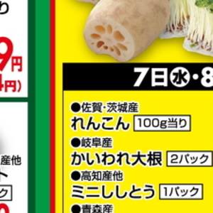 レンコン