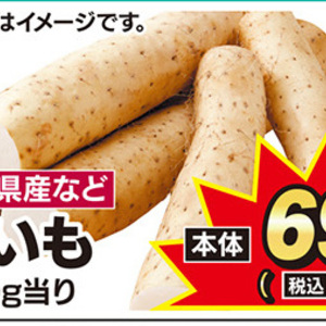 ながいも