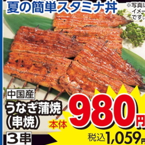 うなぎの蒲焼き