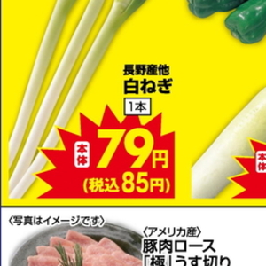 ながねぎ