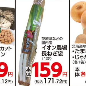 ながねぎ