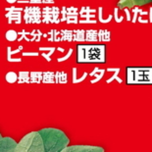 レタス