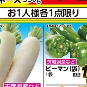 ピーマン
