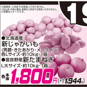 新たまねぎ