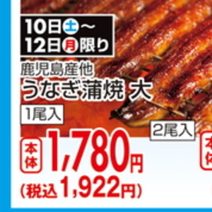 うなぎの蒲焼き