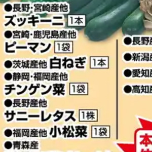 ちんげん菜
