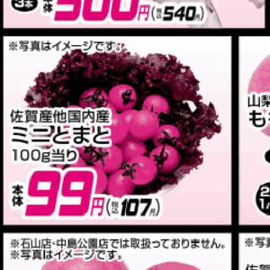 ミニトマト