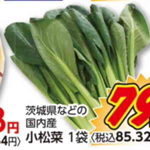 こまつ菜